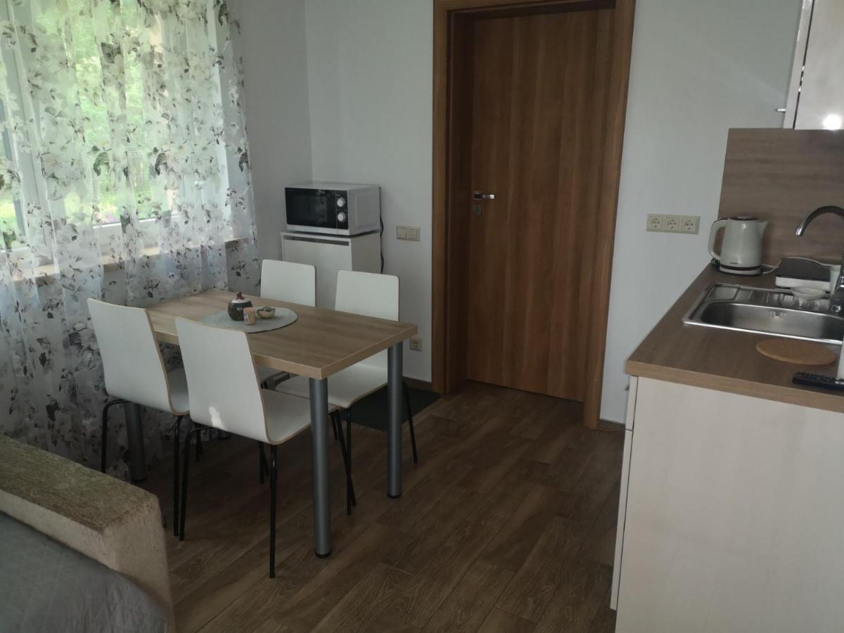 Kristinos Apartment 드루스키닝카이 외부 사진