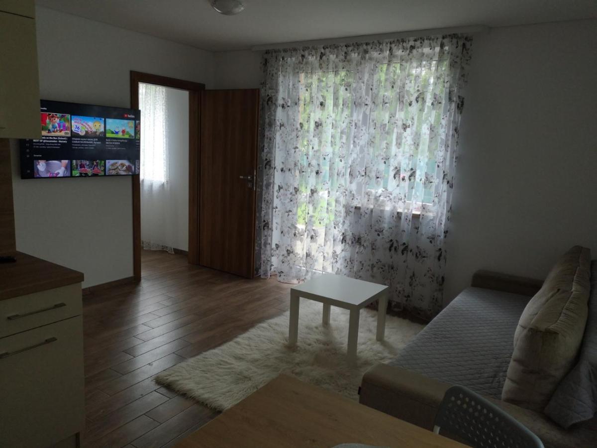 Kristinos Apartment 드루스키닝카이 외부 사진
