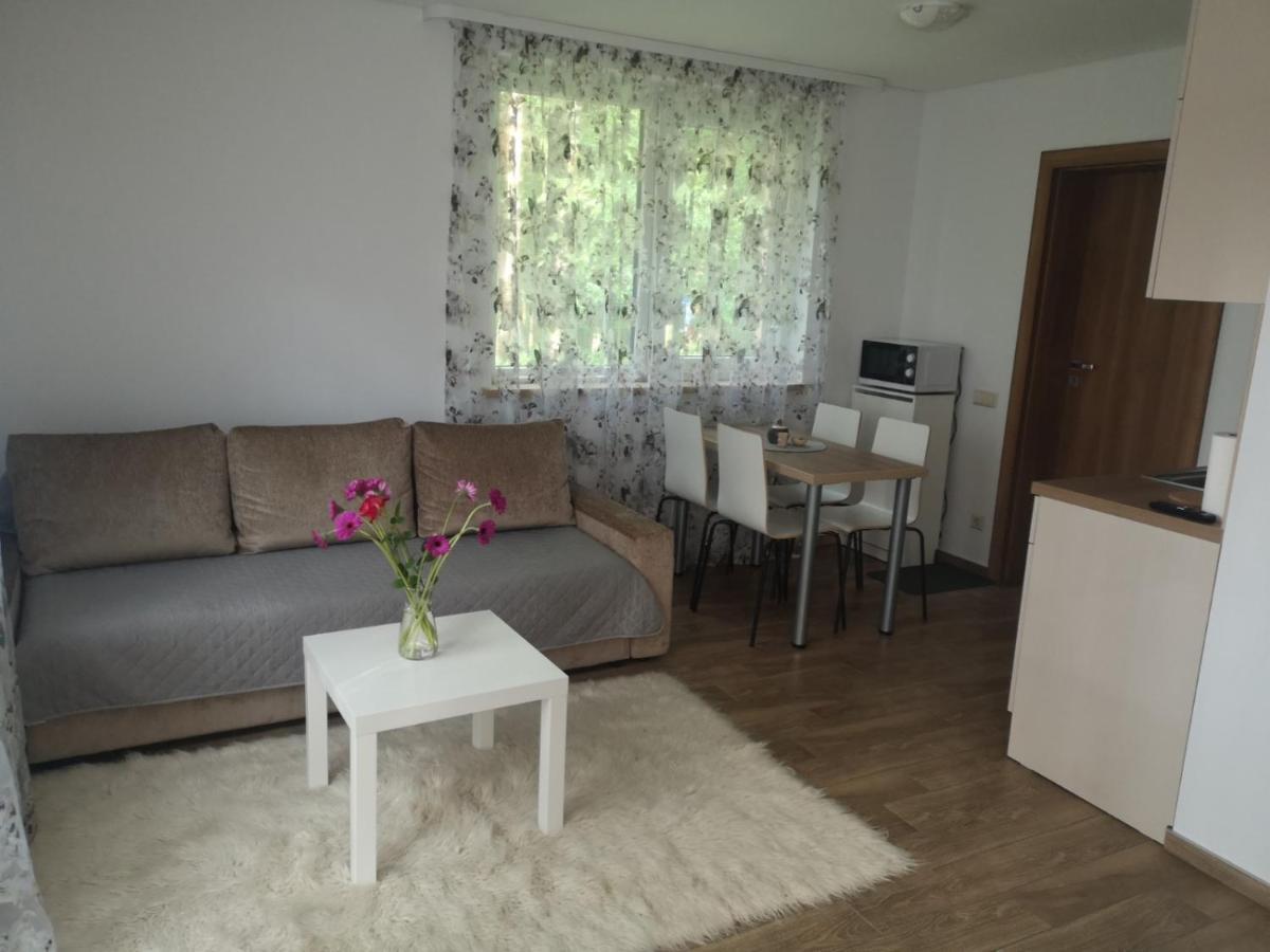 Kristinos Apartment 드루스키닝카이 외부 사진
