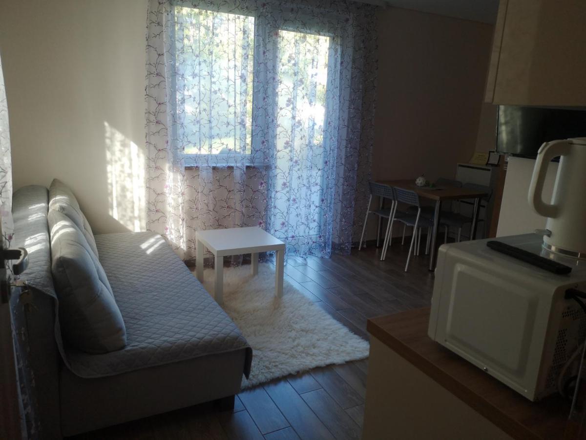 Kristinos Apartment 드루스키닝카이 외부 사진