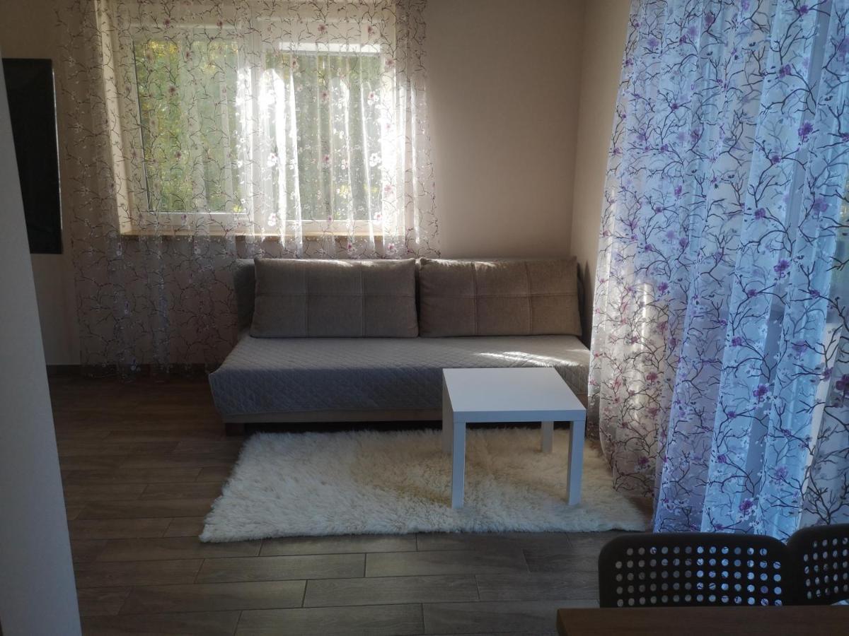 Kristinos Apartment 드루스키닝카이 외부 사진