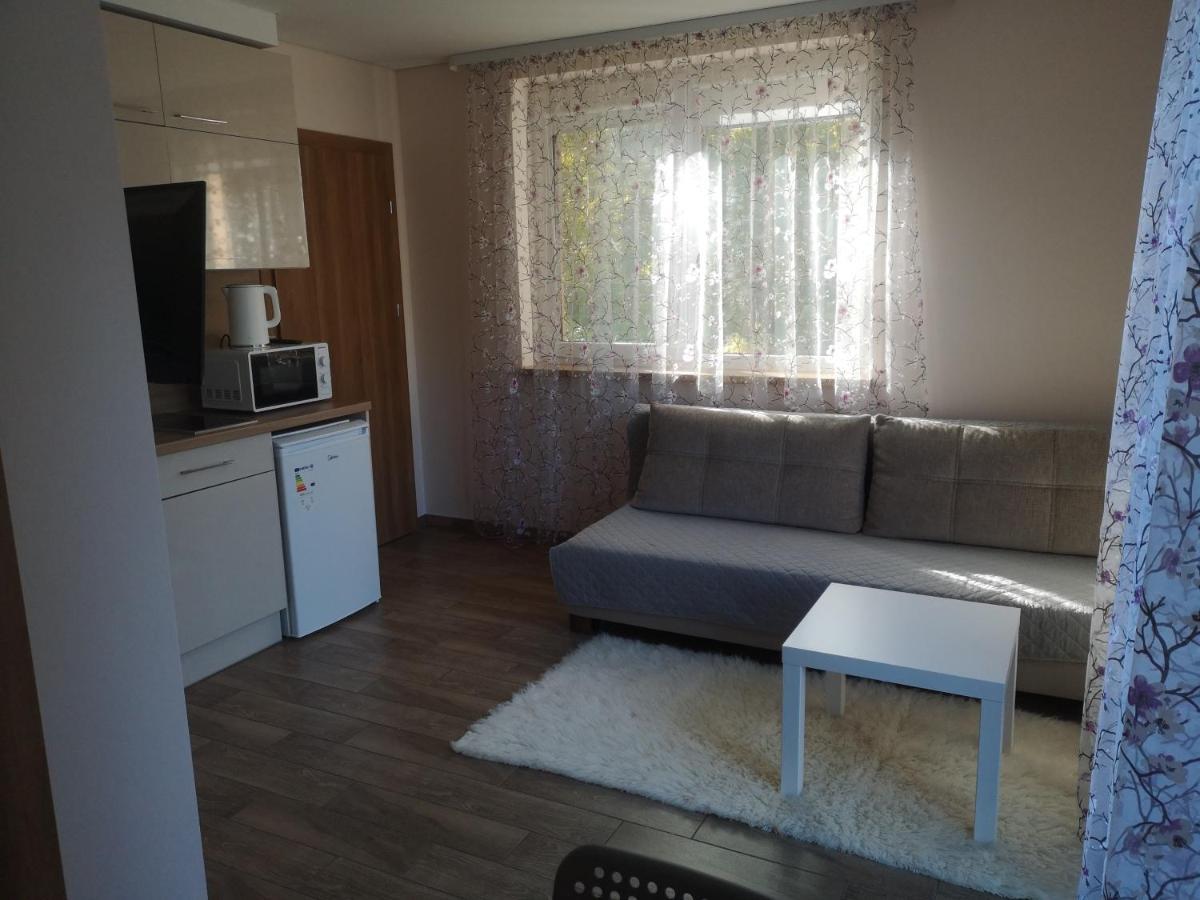 Kristinos Apartment 드루스키닝카이 외부 사진
